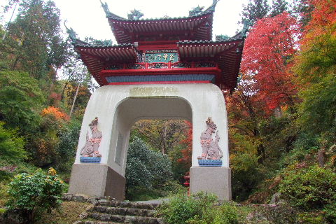 e0088260_2394369.jpg