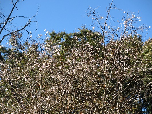 b0145863_0182470.jpg