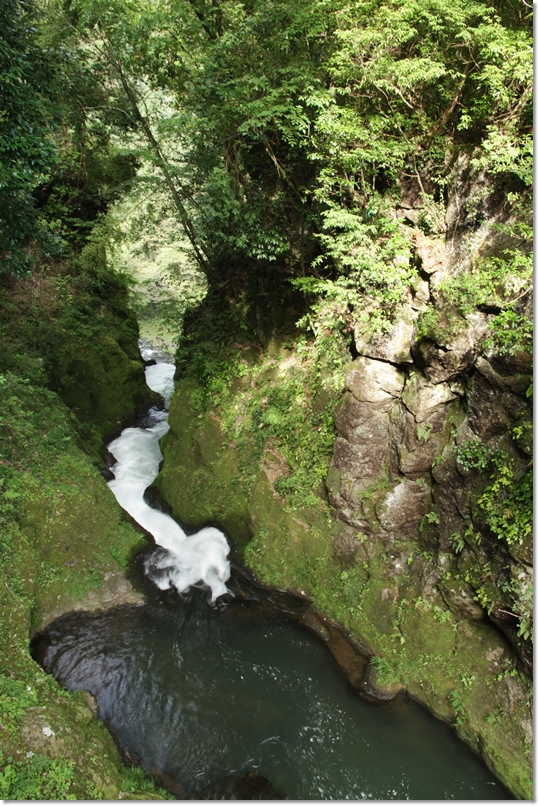 b0214764_16554230.jpg