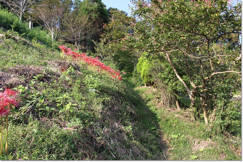 b0214764_1657344.jpg