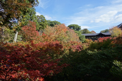 b0245877_21312976.jpg
