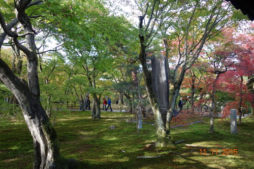 b0245877_21323230.jpg