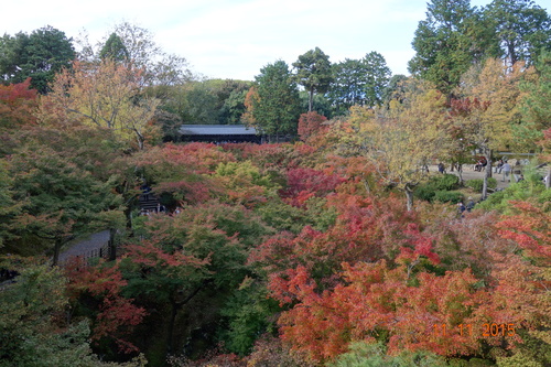 b0245877_21325396.jpg