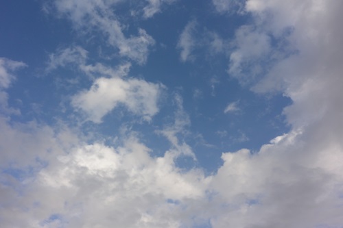 e0114977_10571891.jpg