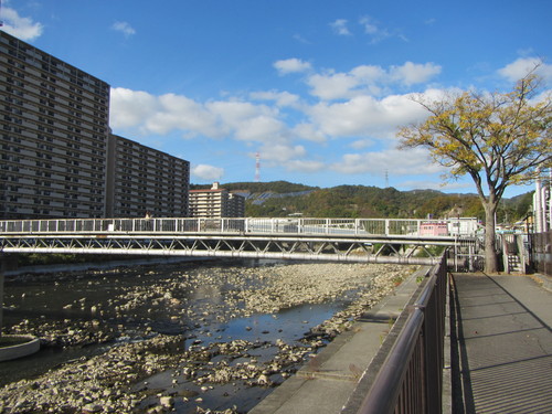 a0251786_20564775.jpg