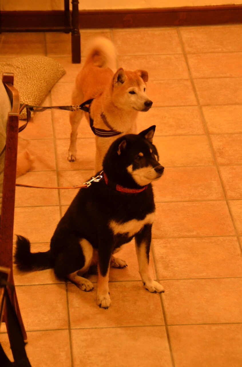 c0123890_21261716.jpg