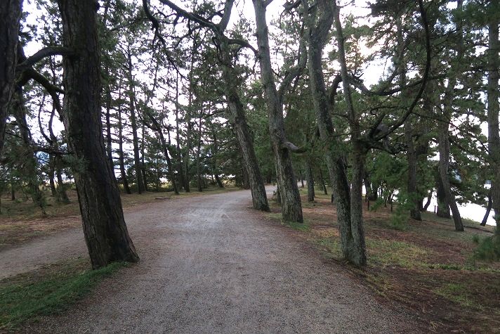 e0240191_17533920.jpg