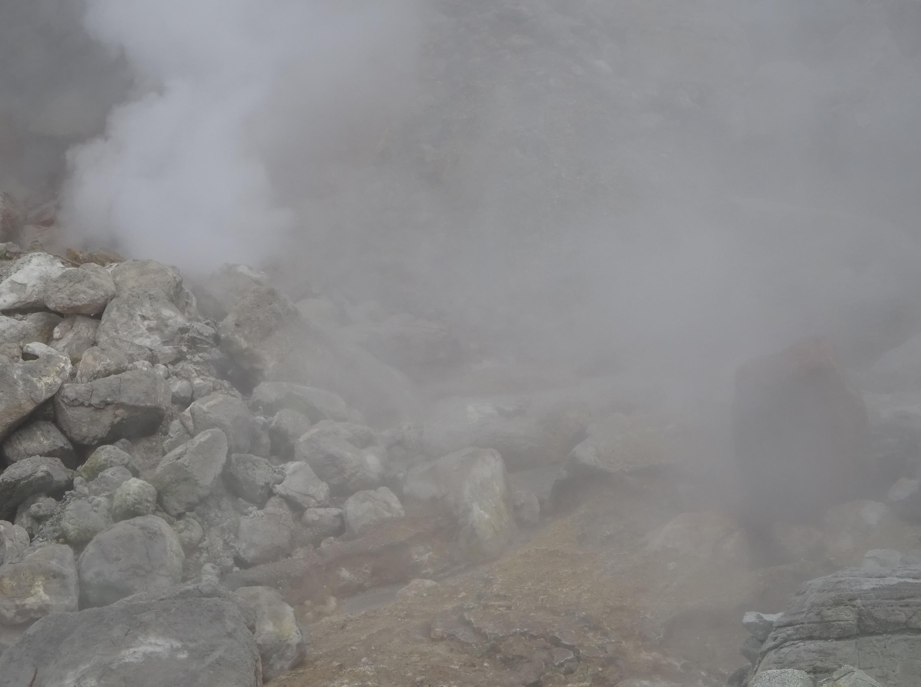 f0166694_22073135.jpg