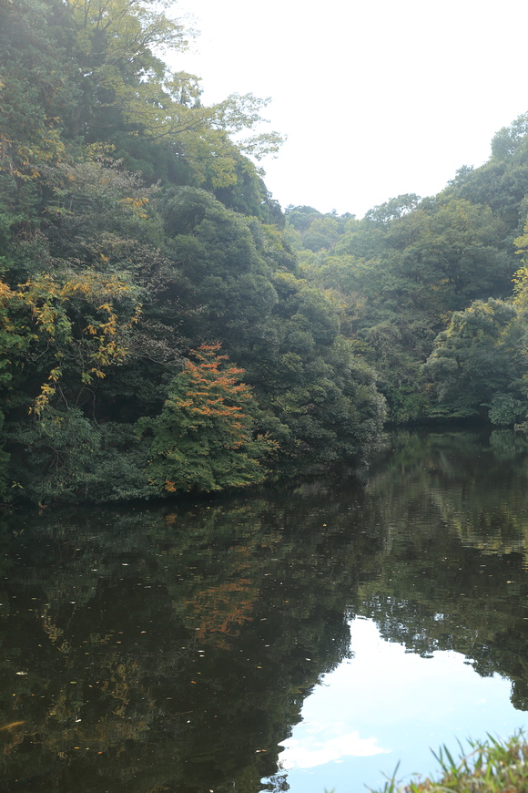 b0275998_23434830.jpg