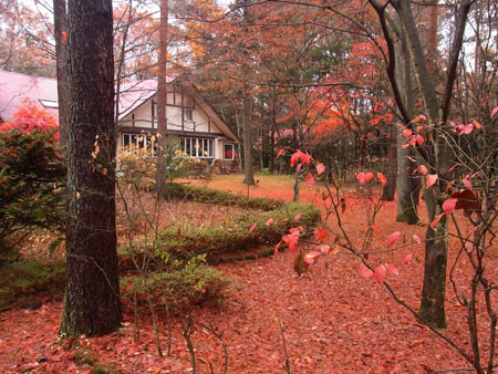 b0101300_12133498.jpg