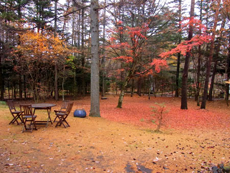 b0101300_12133825.jpg