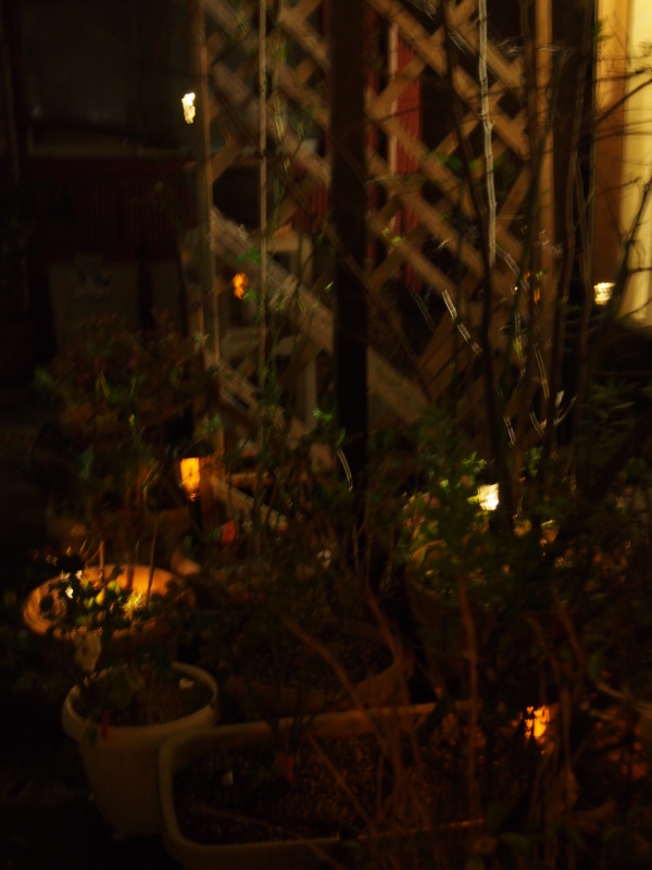 c0220700_21043934.jpg