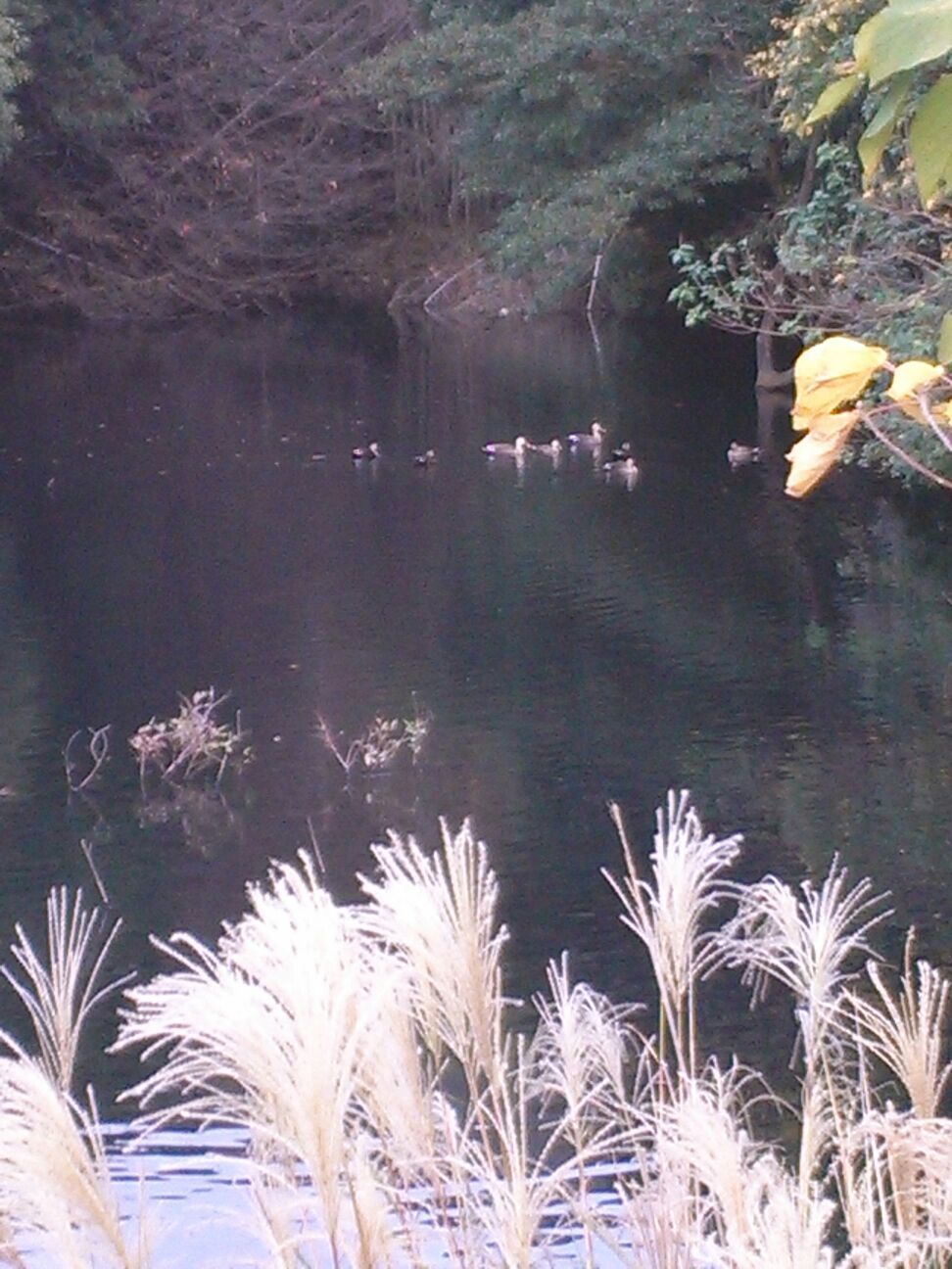 c0220700_21135829.jpg