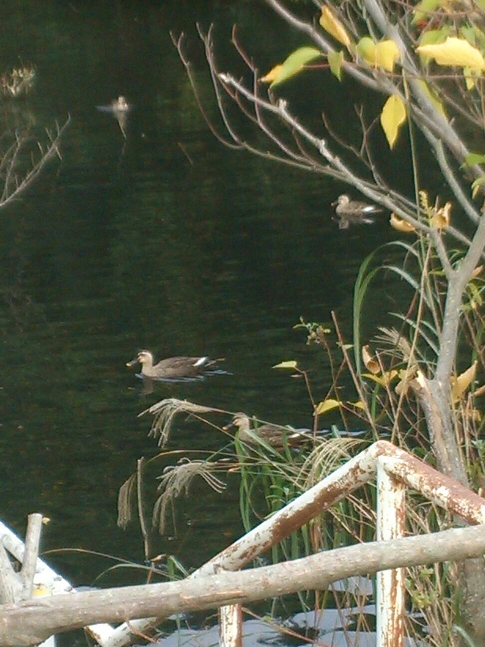 c0220700_21142252.jpg