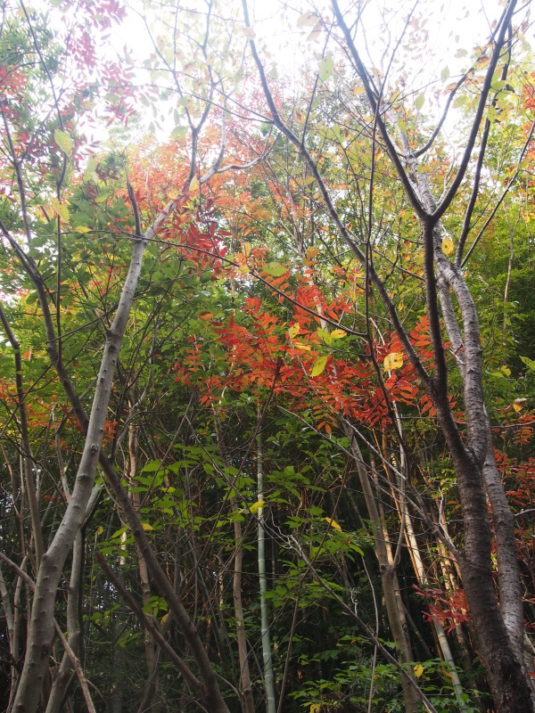 c0220700_21182971.jpg