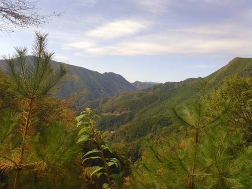 e0157602_17371991.jpg