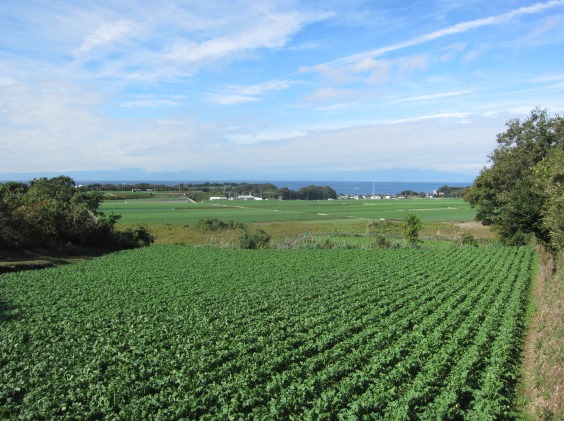 e0245404_2142877.jpg