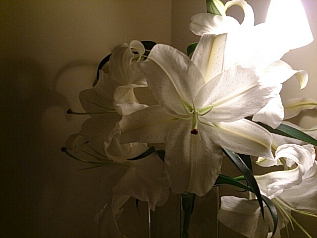 a0216805_08545517.jpg
