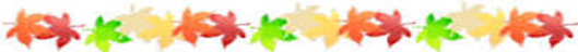 b0273309_161479.png