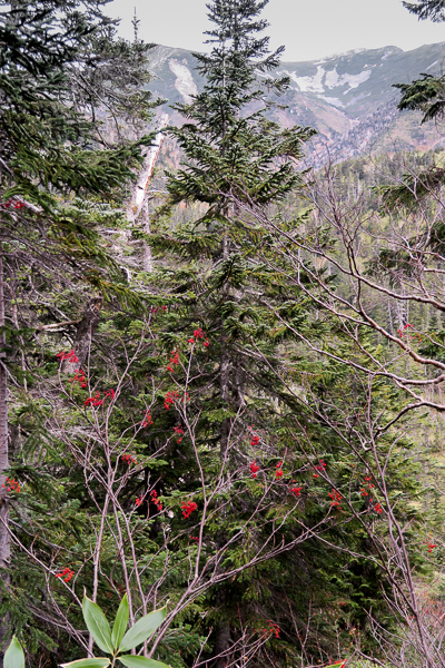 b0244811_19443028.jpg
