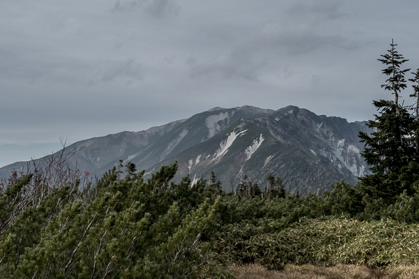 b0244811_19481519.jpg