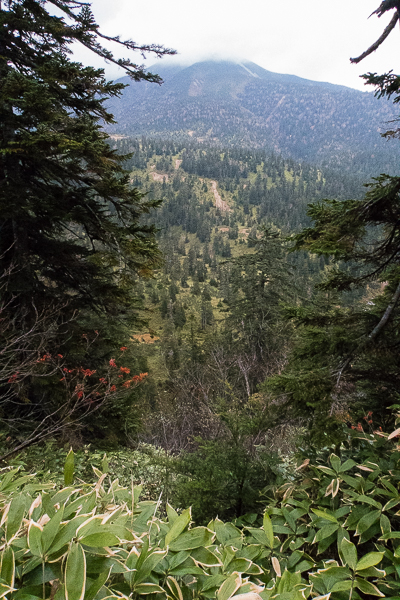 b0244811_22573810.jpg