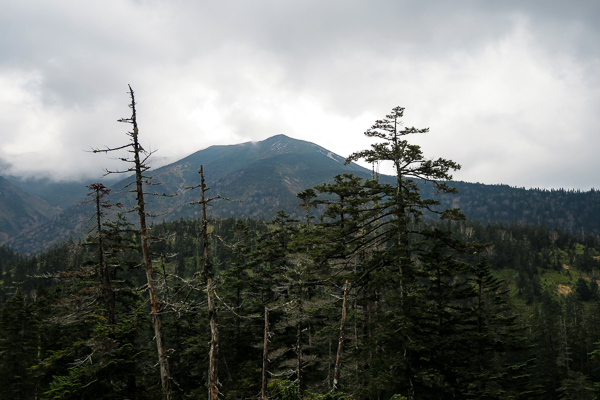 b0244811_22591842.jpg