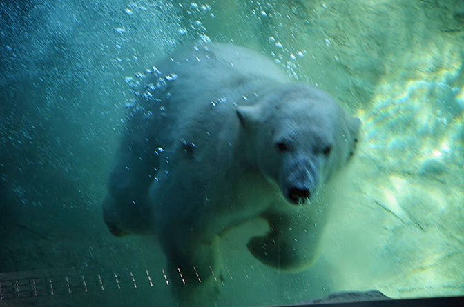 a0151913_22452882.jpg