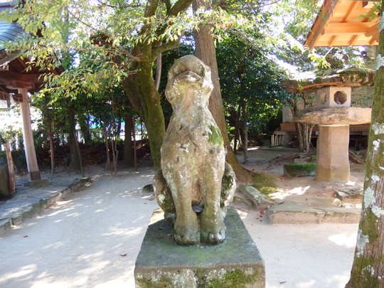d0169613_19342494.jpg