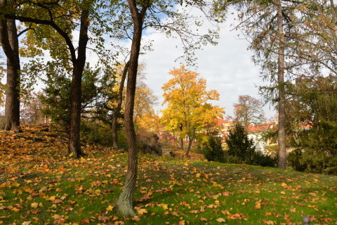 e0335926_00105777.jpg