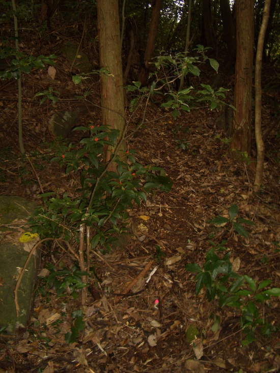 b0222530_16102854.jpg