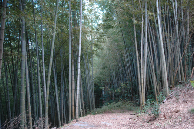e0272335_18283981.jpg