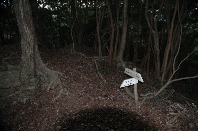 e0272335_20153898.jpg