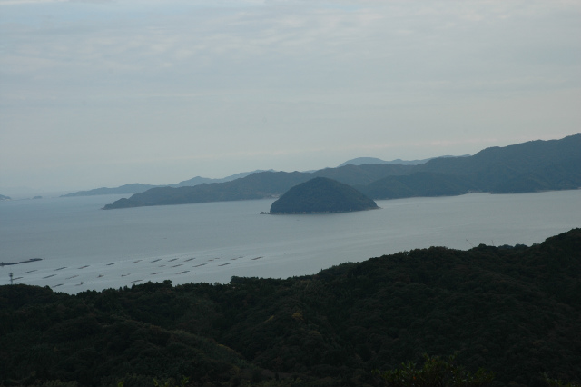e0272335_20212621.jpg