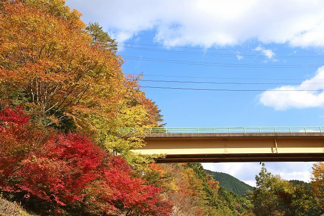 a0242438_1845439.jpg