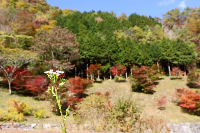 a0242438_18463788.jpg