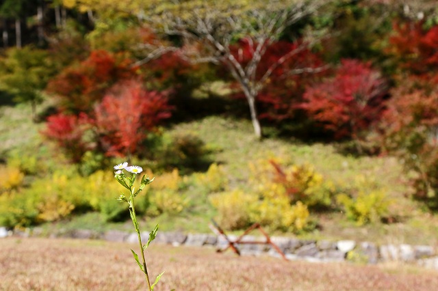 a0242438_18465177.jpg