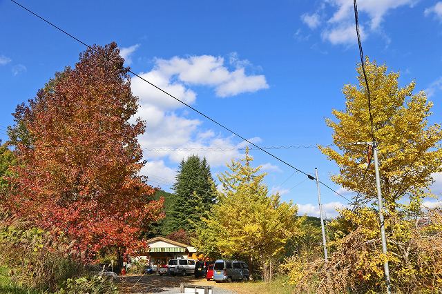 a0242438_18481249.jpg