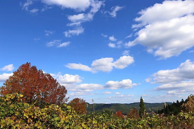 a0242438_18482471.jpg