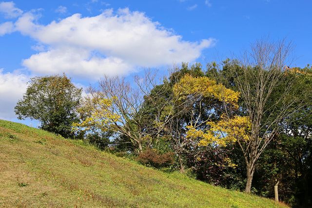 a0242438_1848488.jpg