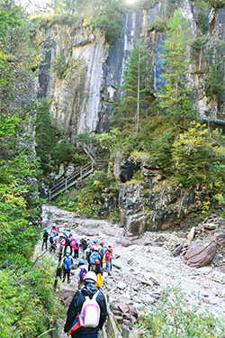 e0312749_3513359.jpg