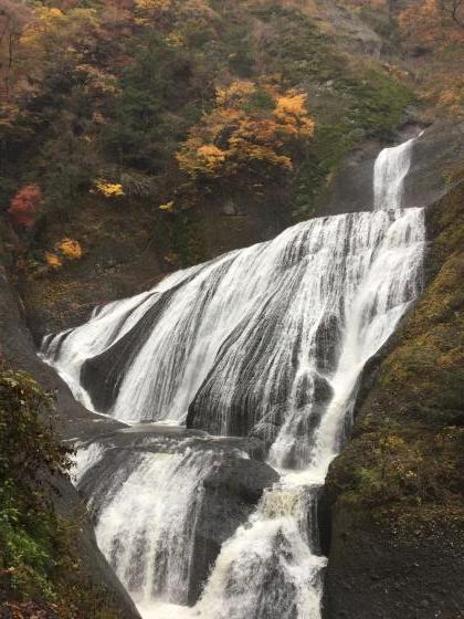 c0358850_11035976.jpeg
