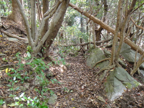 c0179351_20061691.jpg