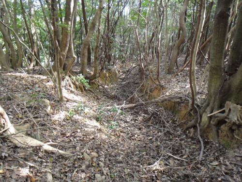 c0179351_20062470.jpg
