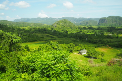 c0351060_11572309.jpg