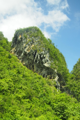 c0351060_11580358.jpg
