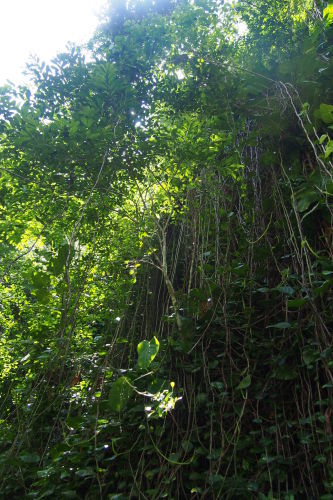 c0351060_11595627.jpg