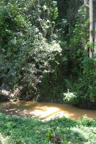 c0351060_12041349.jpg