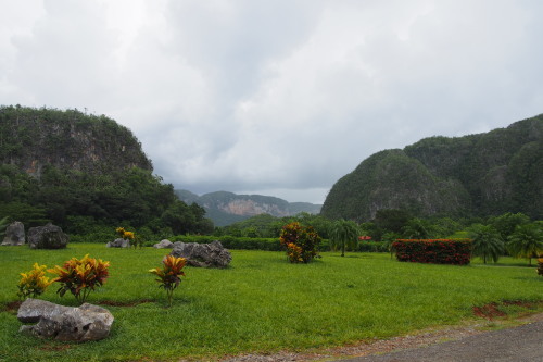 c0351060_12065280.jpg