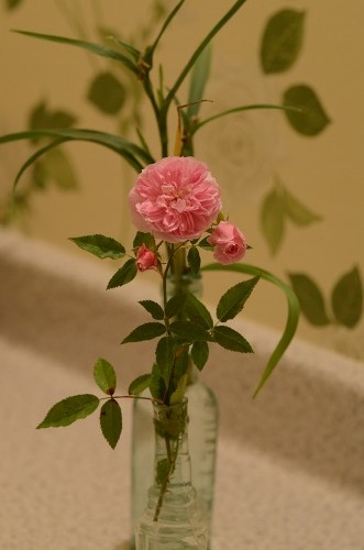 c0186463_1953734.jpg
